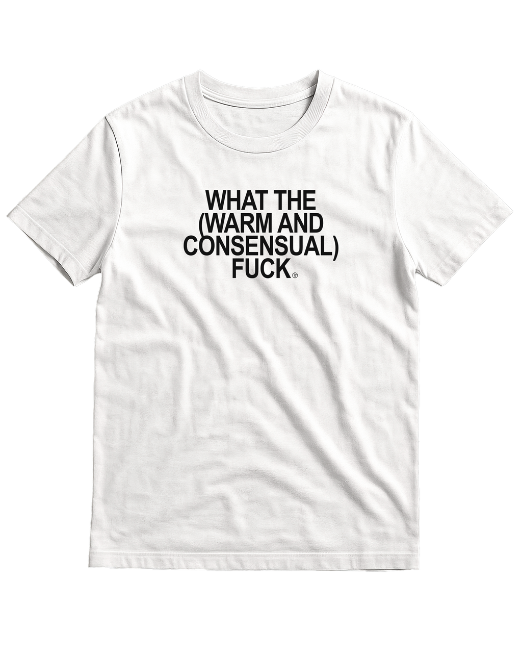 What the (Warm and Consensual) F*ck - T-Shirt