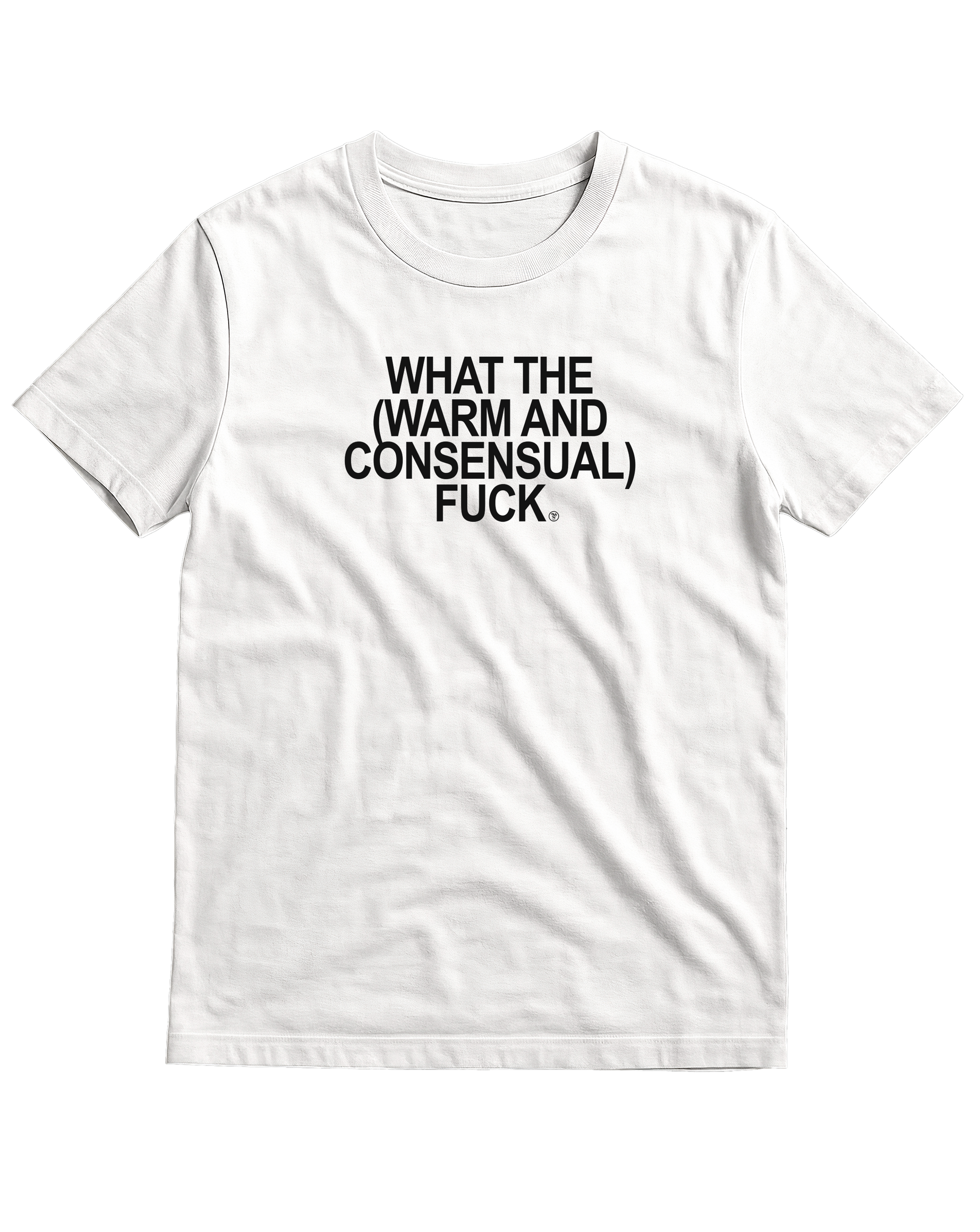 What the (Warm and Consensual) F*ck - T-Shirt