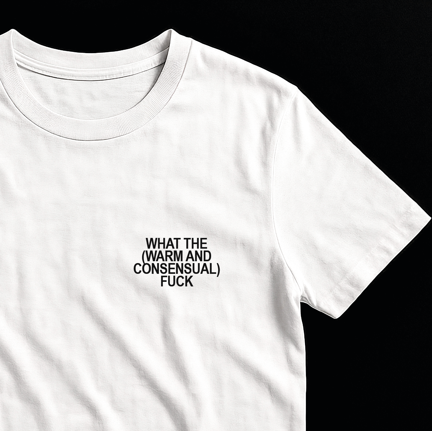 What the (Warm and Consensual) F*ck - T-Shirt