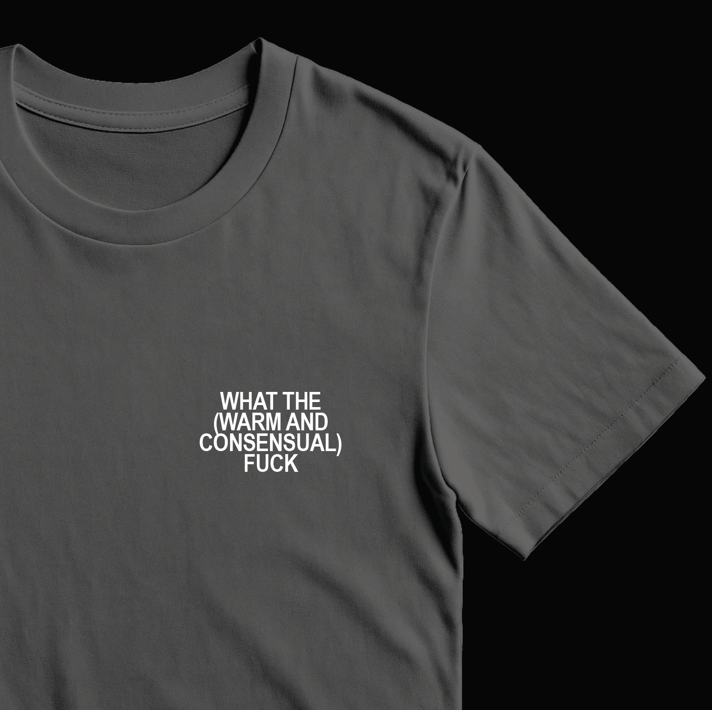 What the (Warm and Consensual) F*ck - T-Shirt