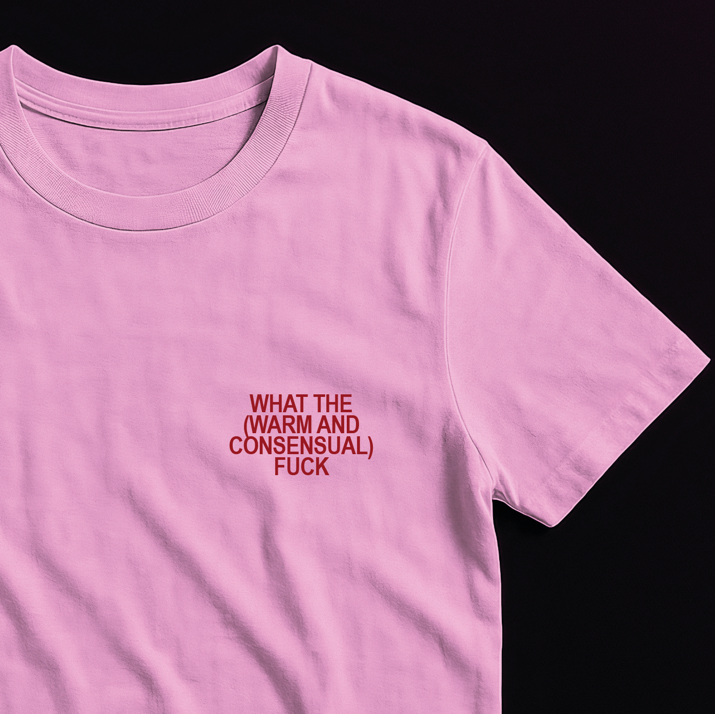 What the (Warm and Consensual) F*ck - T-Shirt