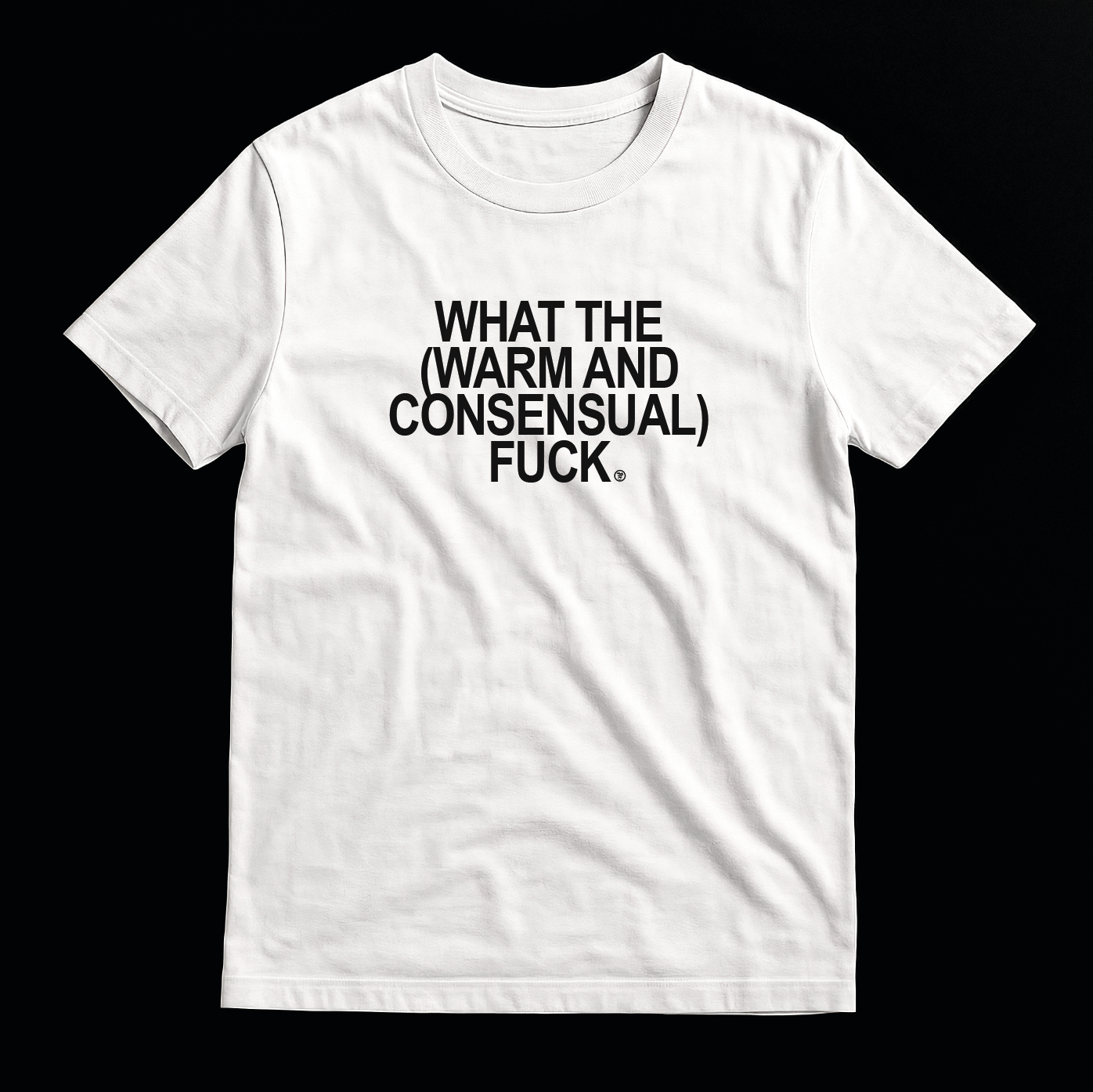 What the (Warm and Consensual) F*ck - T-Shirt