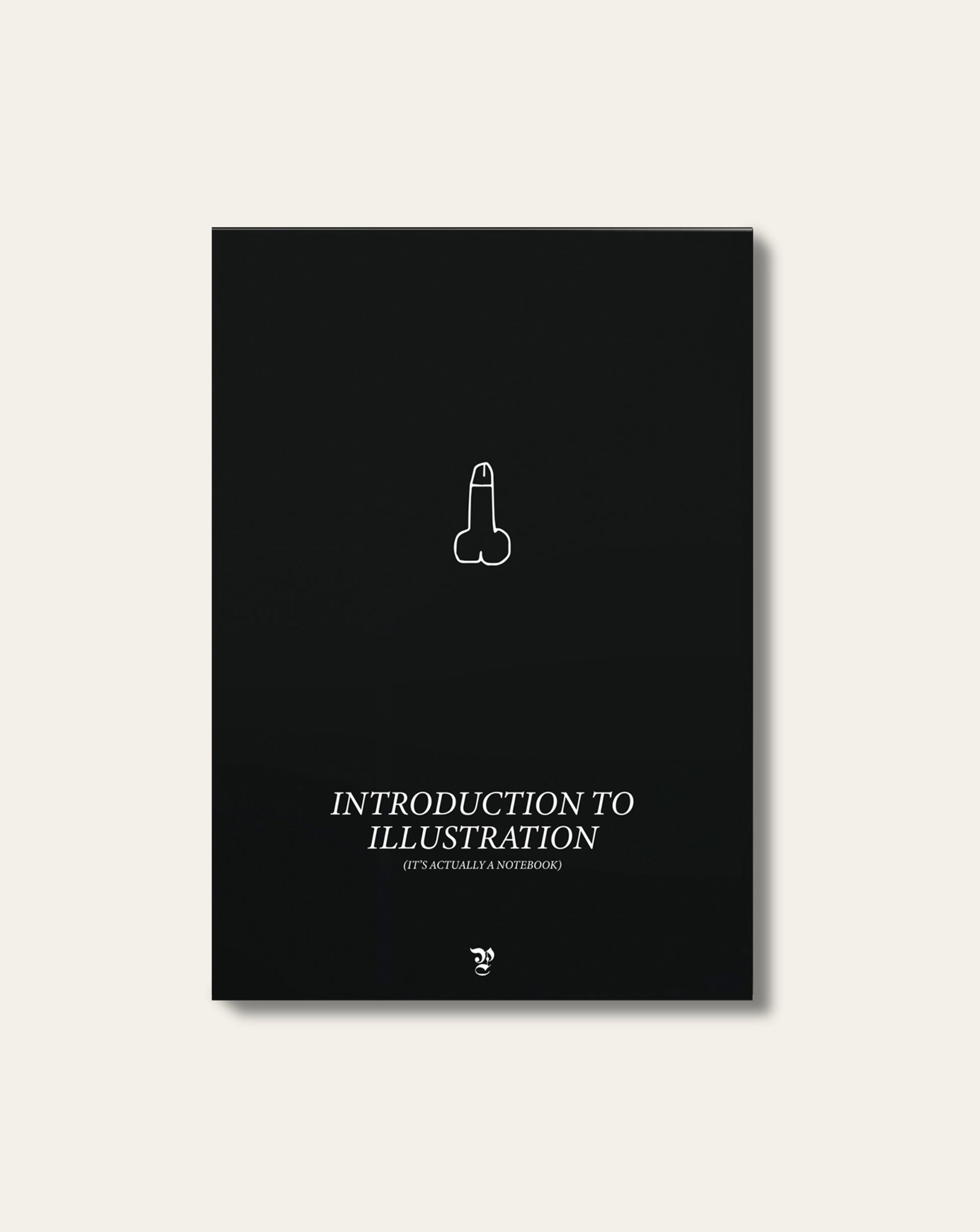 INTRODUCTION TO DRAWING (it's actually a notebook)