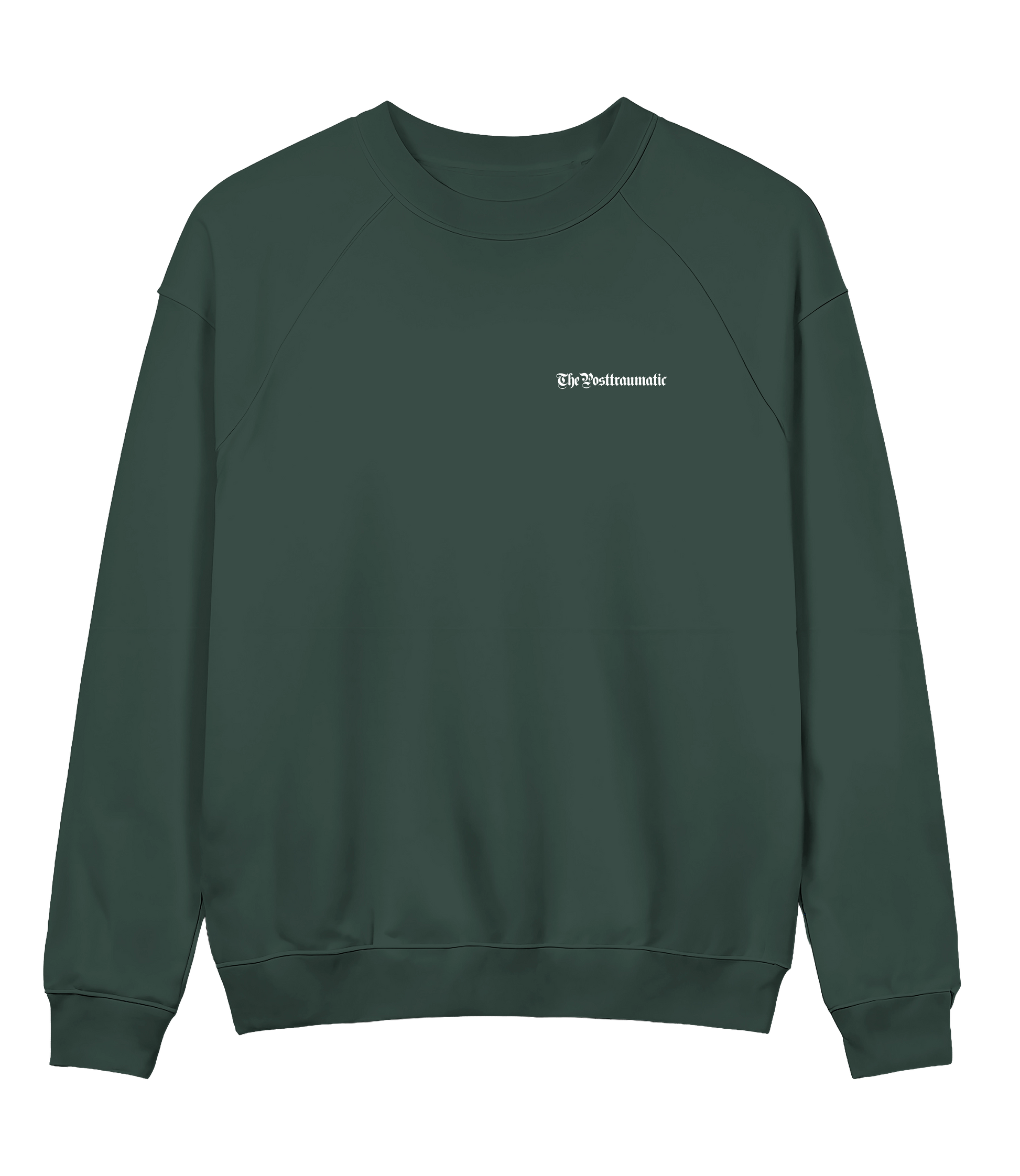 Basic 13 - ThePosttraumatic