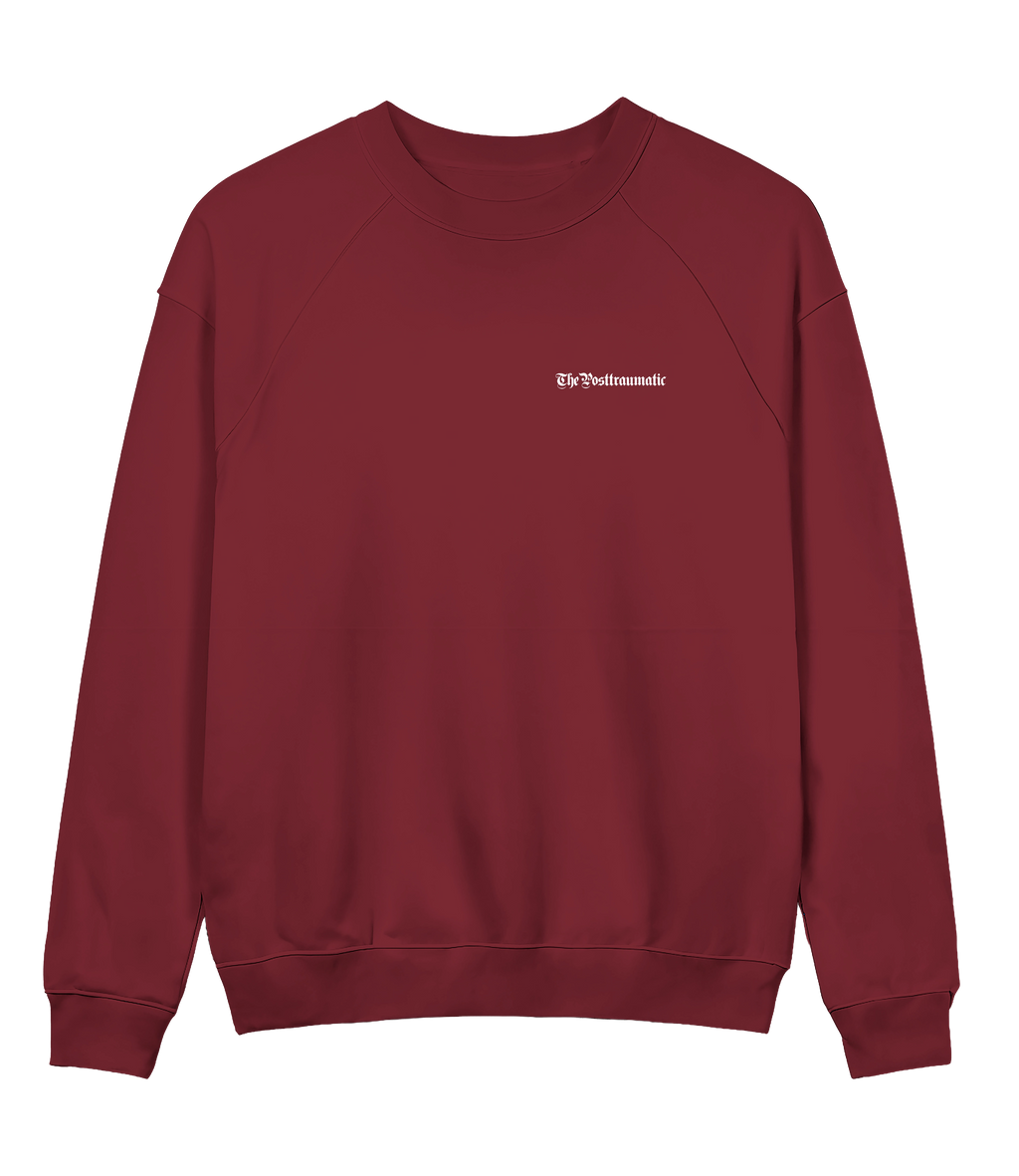 Basic 13 - ThePosttraumatic