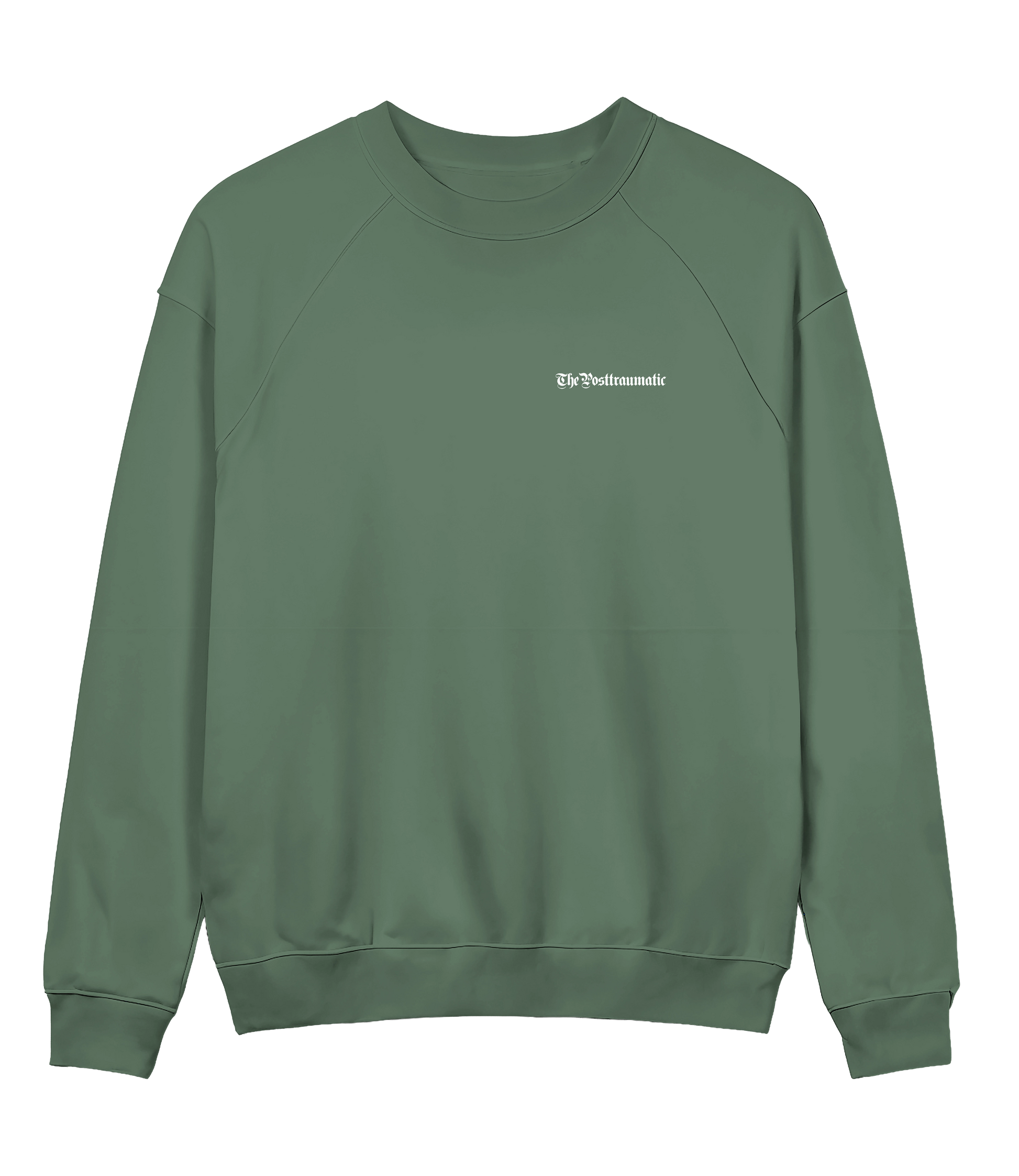 Basic 13 - ThePosttraumatic