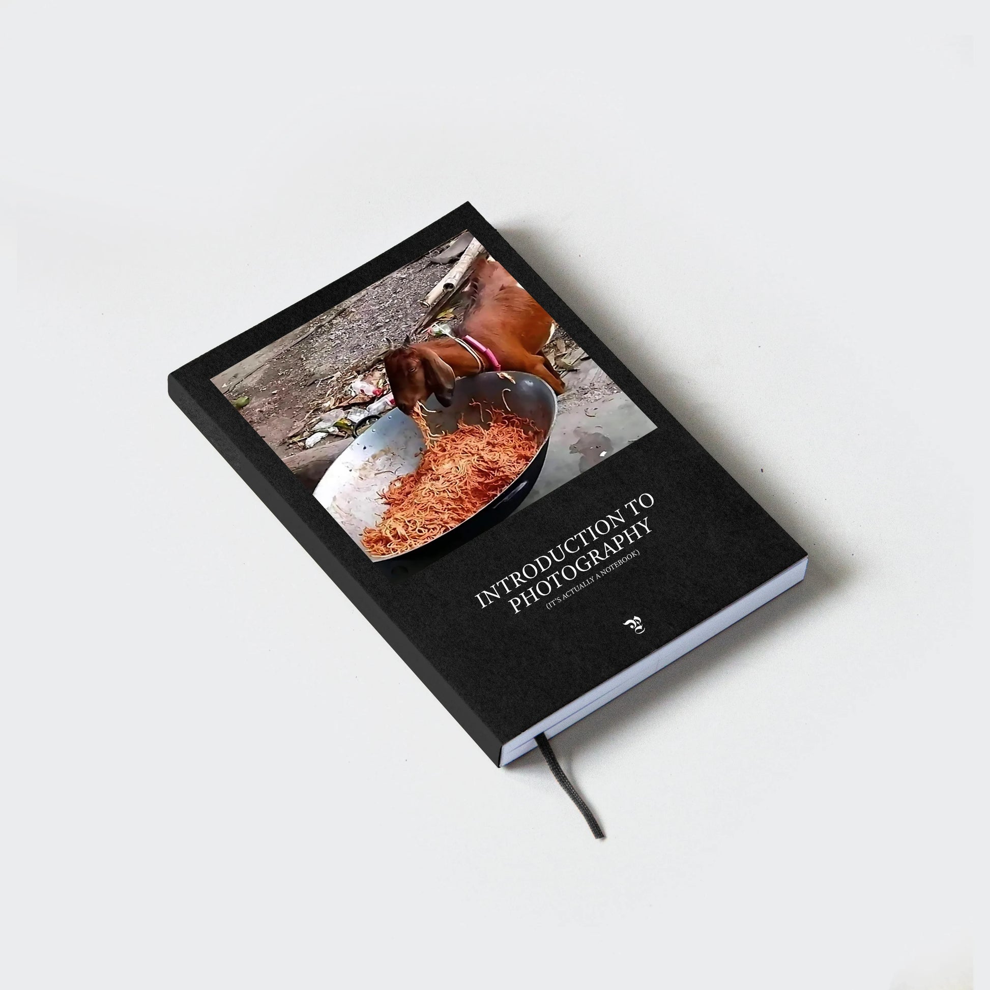 INTRODUCTION TO PHOTOGRAPHY (it's actually a notebook)