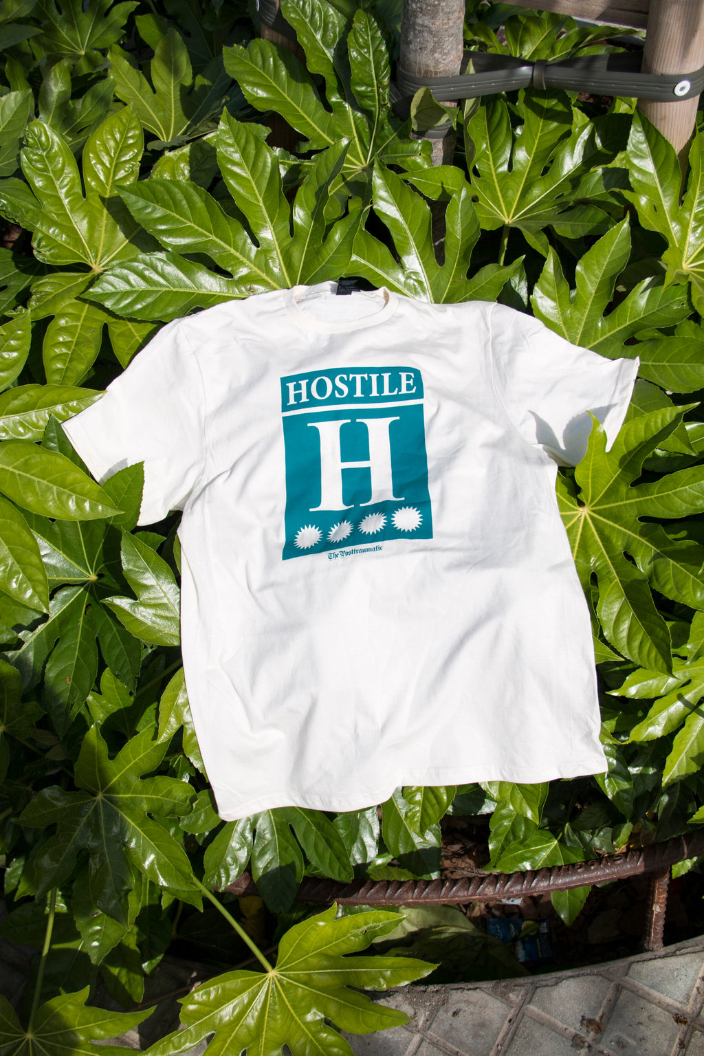 Hostile