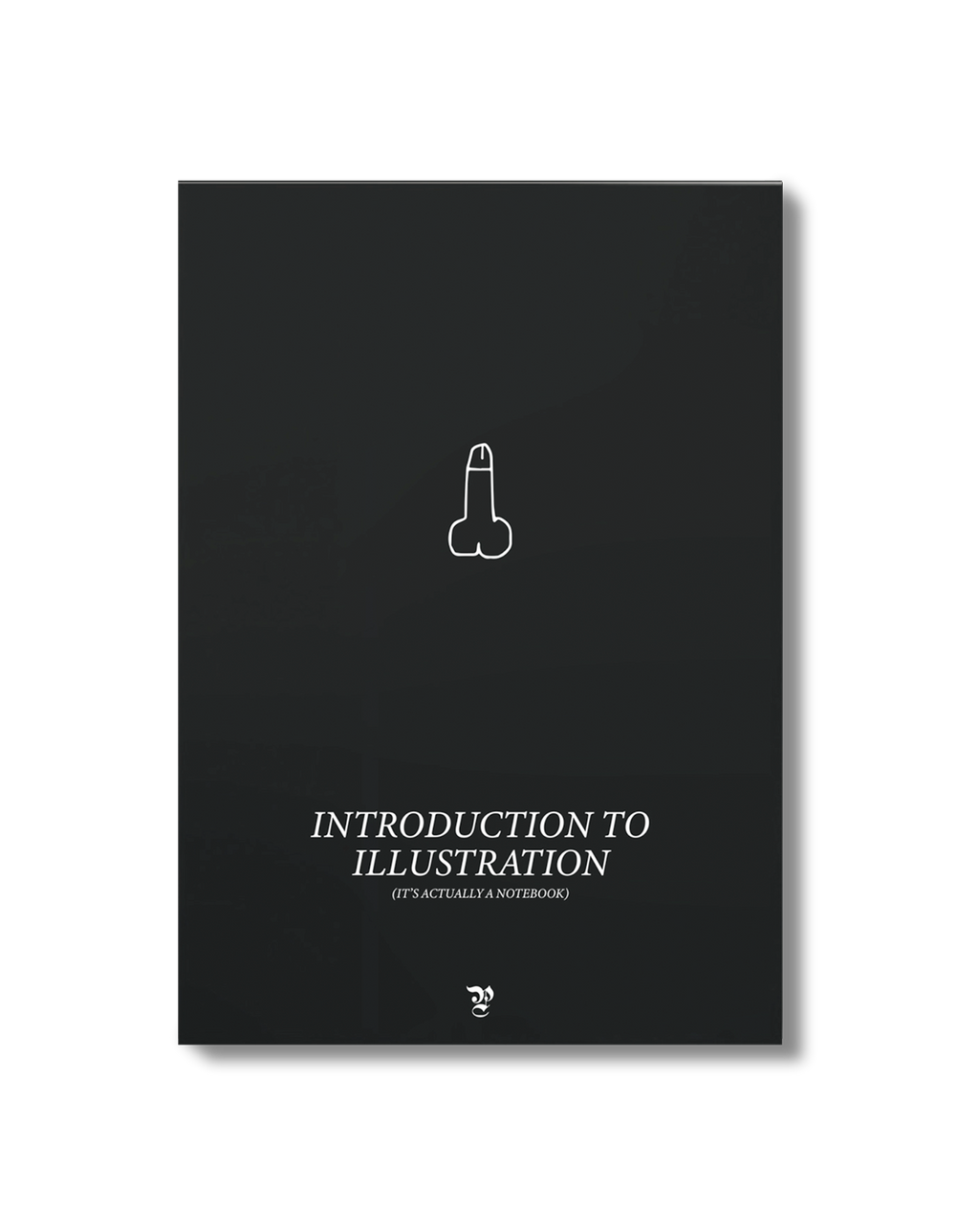 INTRODUCTION TO DRAWING (it's actually a notebook)