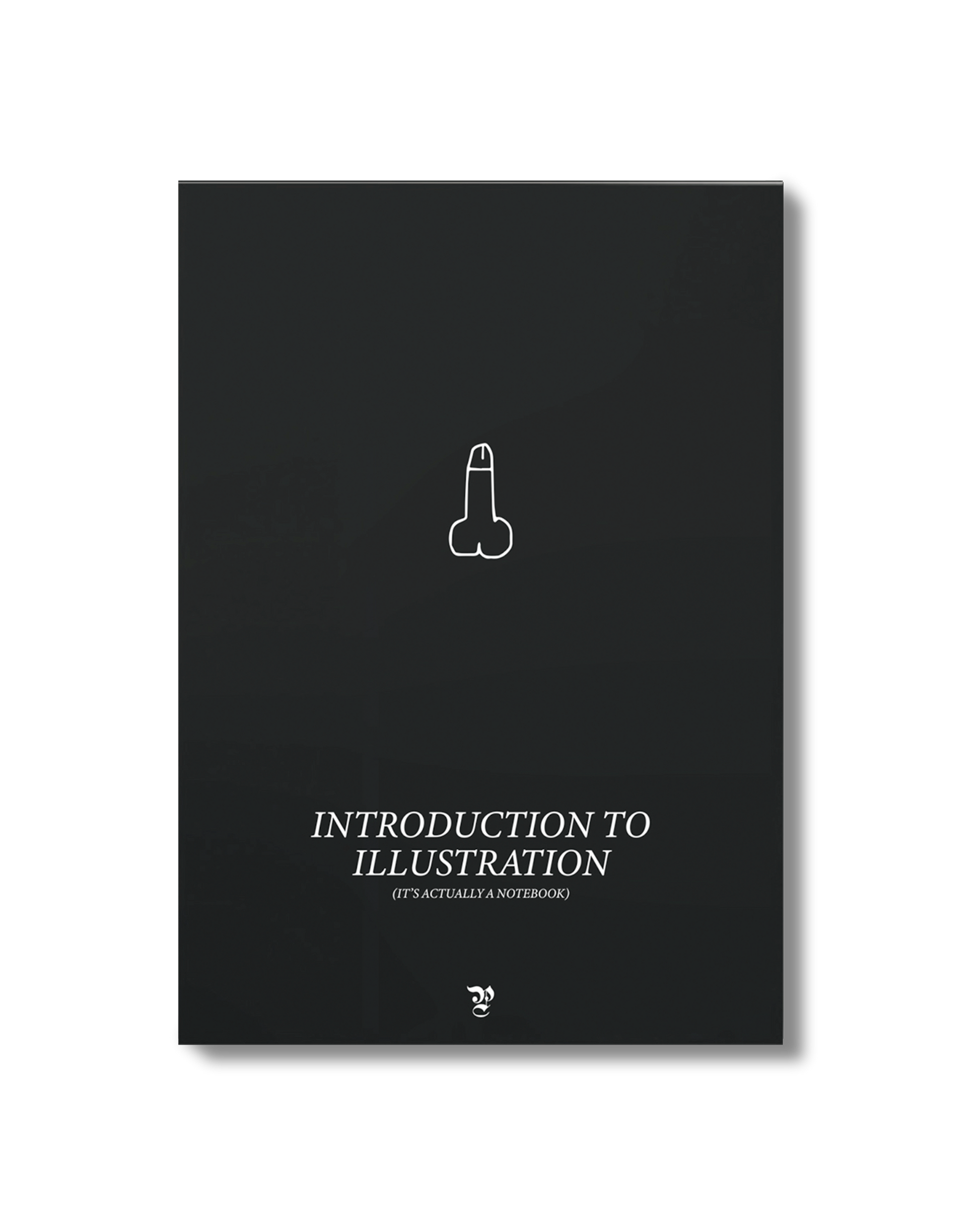 INTRODUCTION TO DRAWING (it's actually a notebook)