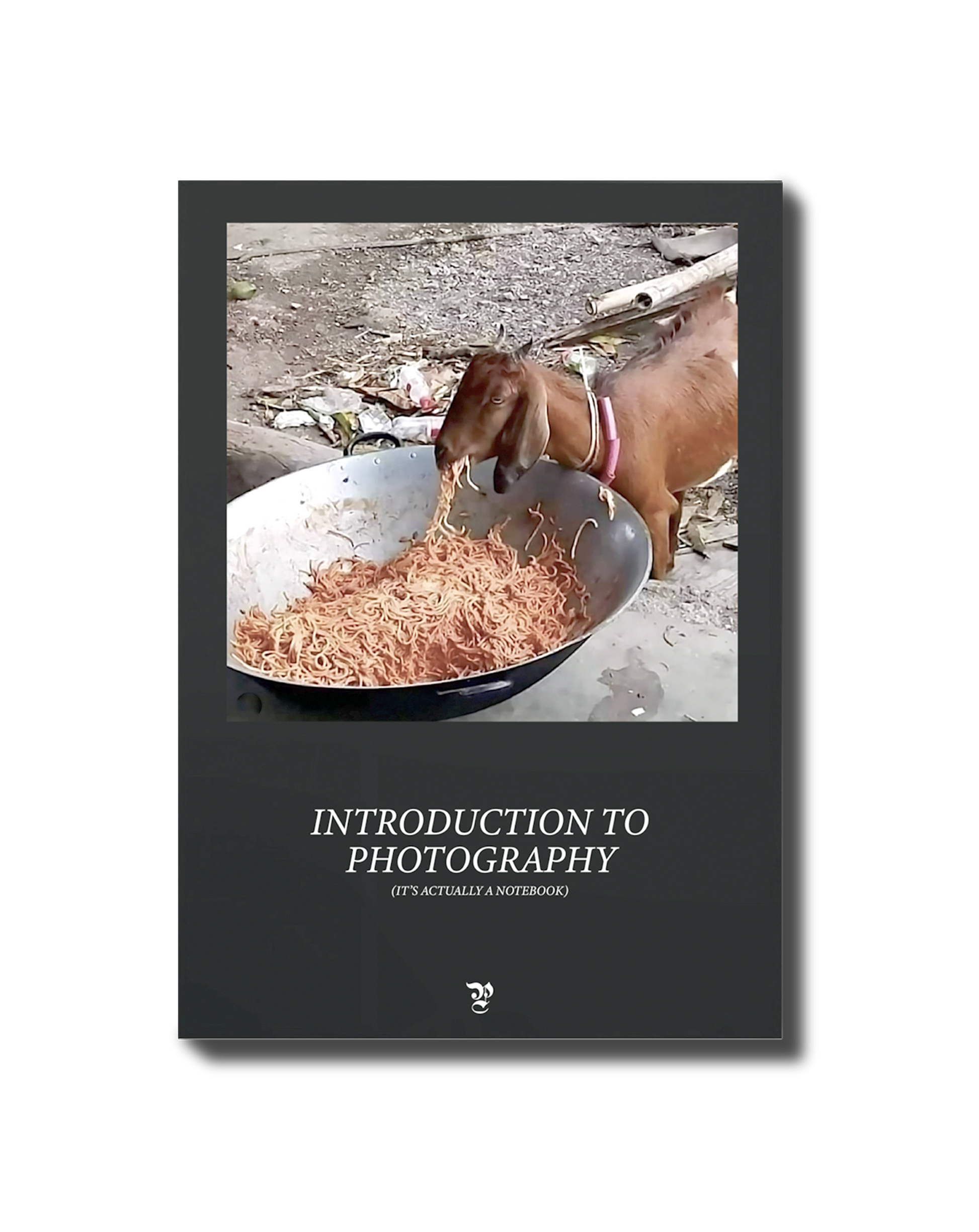 INTRODUCTION TO PHOTOGRAPHY (it's actually a notebook)
