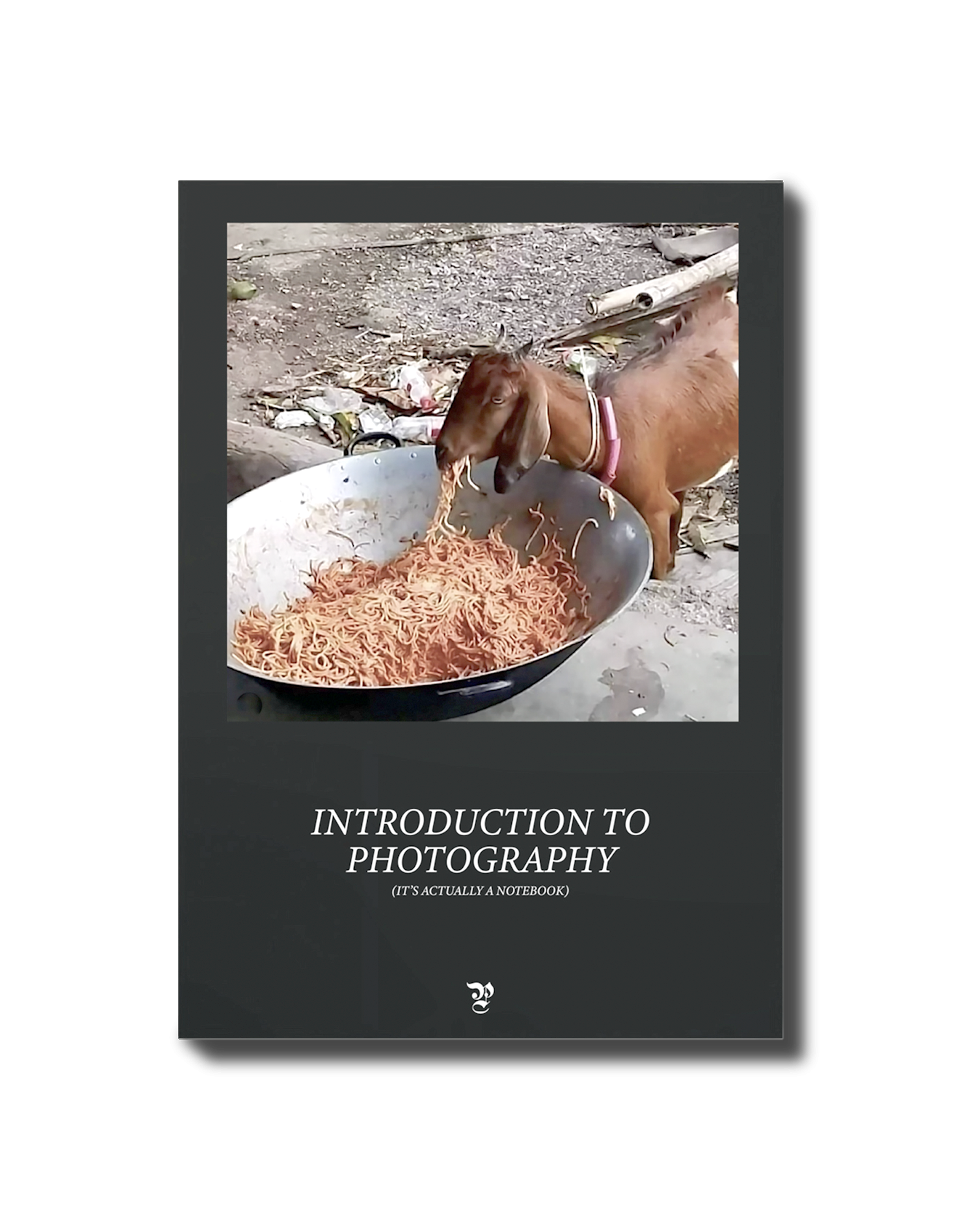 INTRODUCTION TO PHOTOGRAPHY (it's actually a notebook)